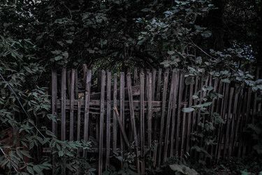 Similar image 22203052