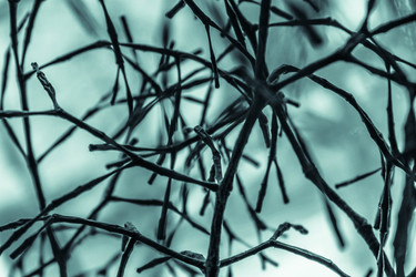 Similar image 22203083