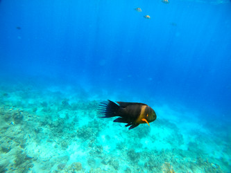 Similar image 22204856