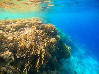 Similar image 22204857