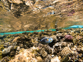 Similar image 22204861