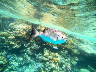 Similar image 22204862