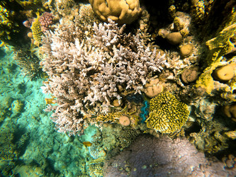 Similar image 22204863