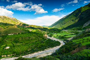 Similar image 22204872