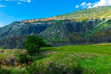 Similar image 22204878