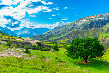 Similar image 22204879