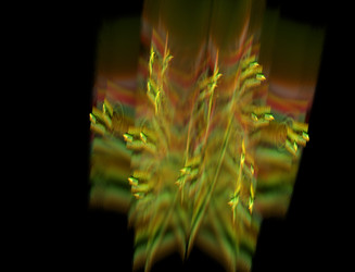 Similar image 22209830