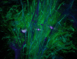 Similar image 22209835