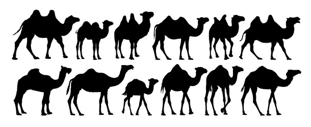 Similar image 22203151