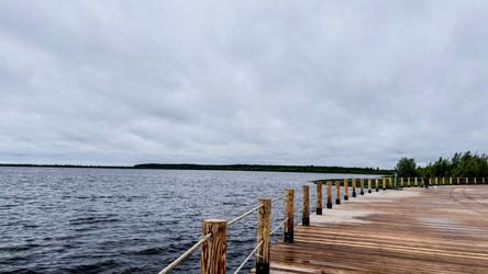 Similar image 22203153