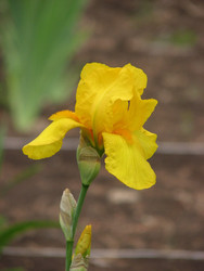 Similar image 22203055