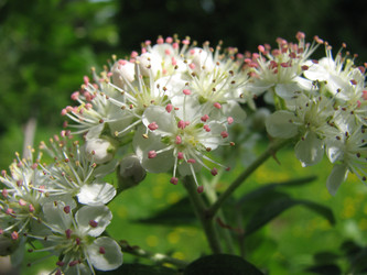 Similar image 22203057