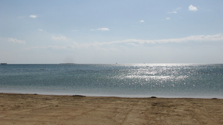 Similar image 22203061