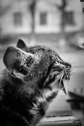 Similar image 22203157