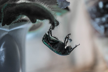 Similar image 22203158