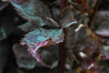 Similar image 22203159