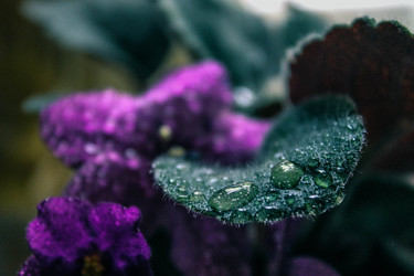 Similar image 22203160