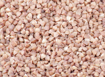 Similar image 22206081