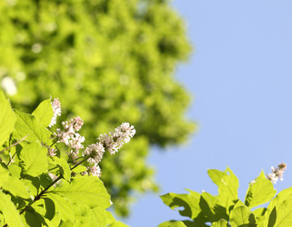 Similar image 22206107