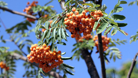 Similar image 22206113