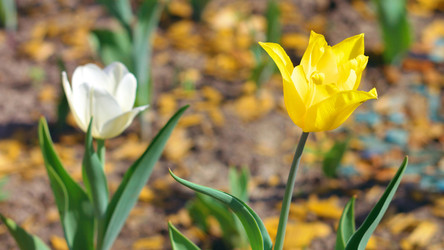 Similar image 22206115