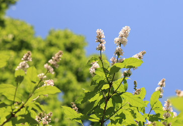 Similar image 22206117