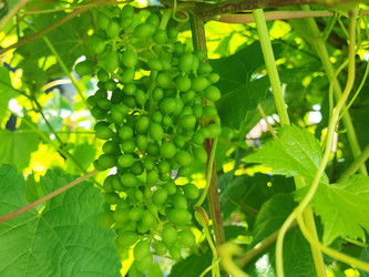 Similar image 22203574