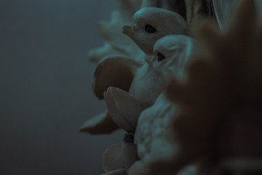 Similar image 22203161