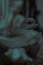 Similar image 22203162