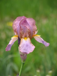 Similar image 22203163