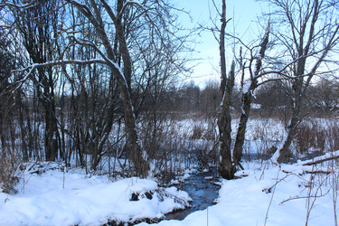 Similar image 22204896