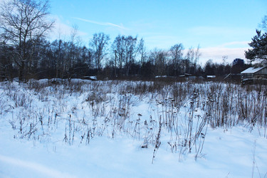 Similar image 22204897