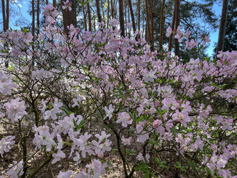 Similar image 22203808