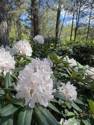 Similar image 22203810