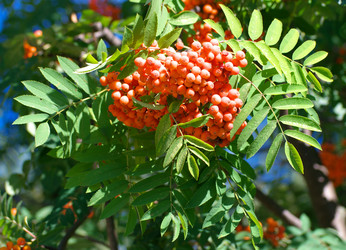 Similar image 22206804