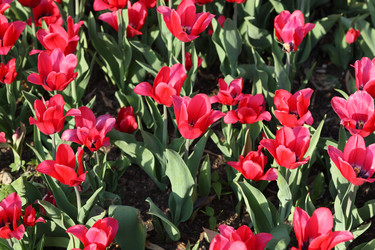 Similar image 22206921