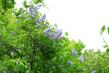 Similar image 22206923