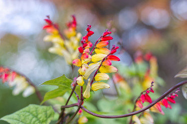 Similar image 22203452