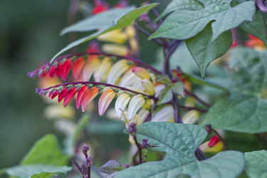 Similar image 22203453