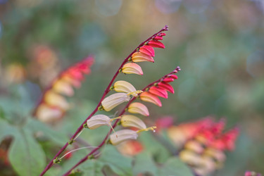 Similar image 22203454