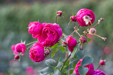 Similar image 22203528