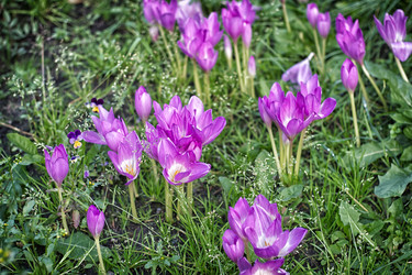 Similar image 22203530