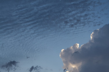 Similar image 22203942