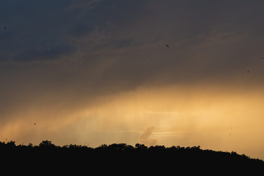 Similar image 22203943