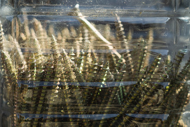 Similar image 22203948