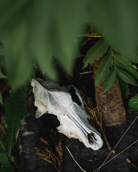 Similar image 22203950