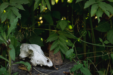 Similar image 22203951