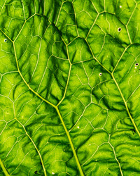 Similar image 22203952