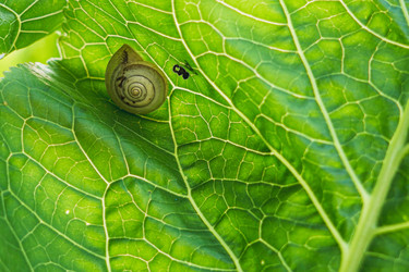 Similar image 22203953