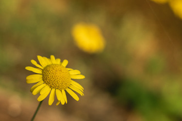 Similar image 22203954